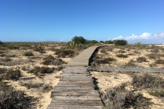 Opuštěný chodník na ostrově Další z objevů na ostrově Ilha Deserta